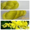 "Mimosa" Fil Mérinos Alpaga & Nylon
