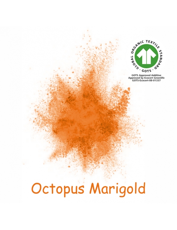 Marigold Teinture OCTOPUS Yarn and Dyes