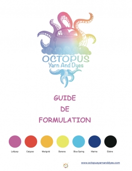 Guide de Formulation Imprimé OCTOPUS Yarn & Dyes